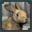 Icon_of [object Object] (64x64)