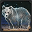 Icon_of [object Object] (64x64)